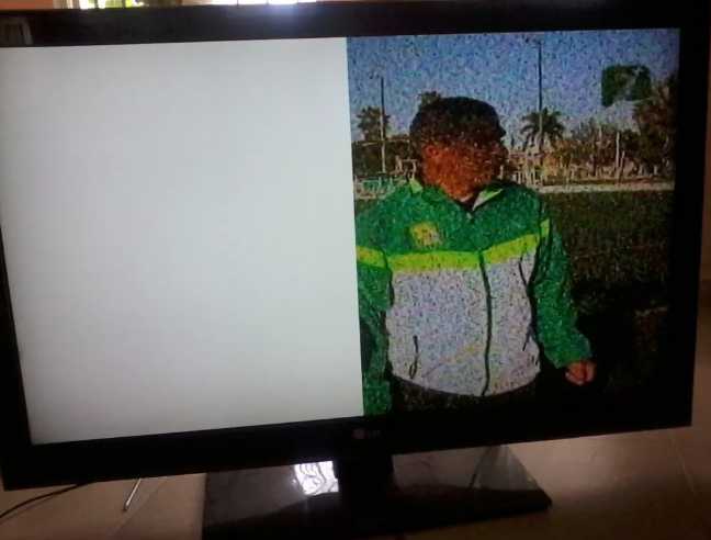 mitad de pantalla blanca en tv por la vertical.