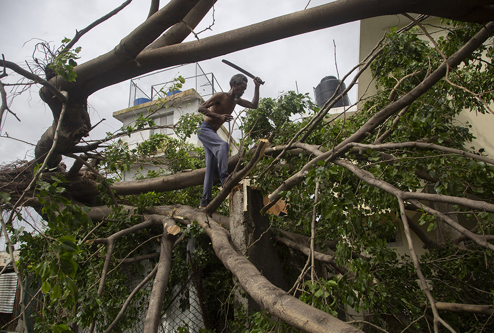 Cubanos atan al machete contra los destrozos de ian