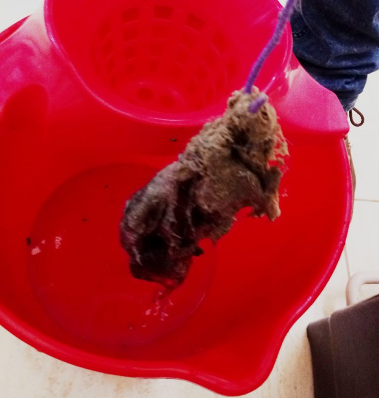 restos de pelos y otras fibras y grasa en el registro de albañales del baño